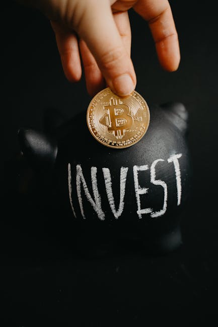 Conturile de economii și investiții: un nou pas spre prosperitate economică