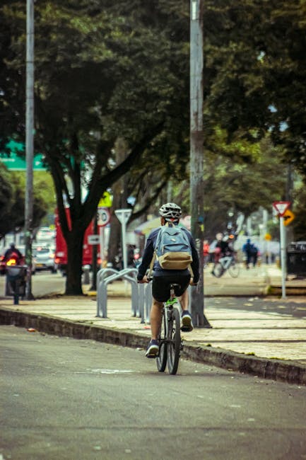 Cum poți traversa Bistrița în 11 minute cu bicicleta, chiar și la oră de vârf