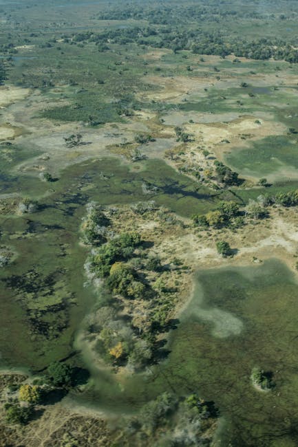 Investiție de 37 milioane lei pentru modernizarea acumulării Sălard și crearea unei zone umede ecologice