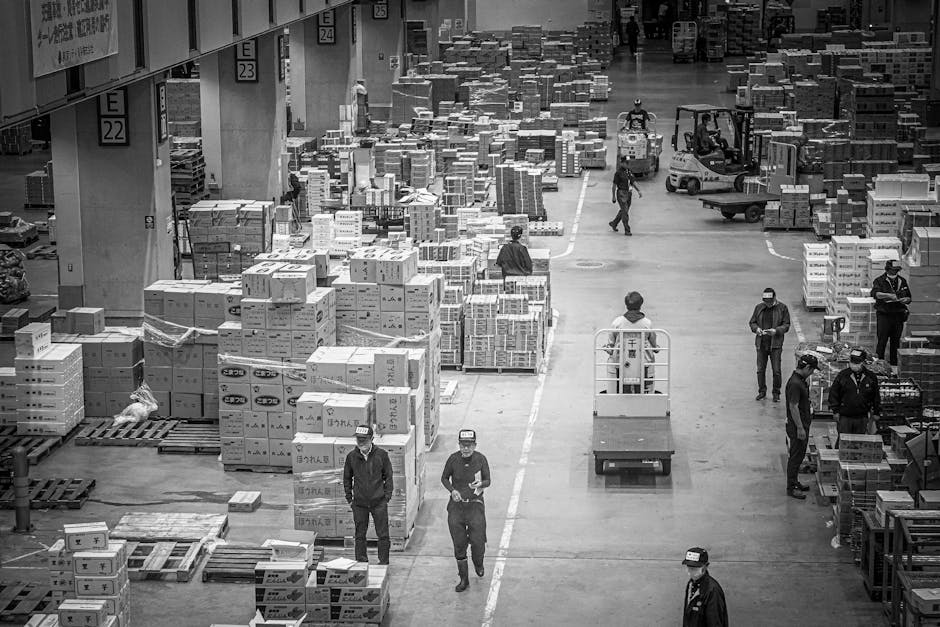 Prelungirea plafonării adaosului comercial pentru alimente esențiale: ce înseamnă pentru români
