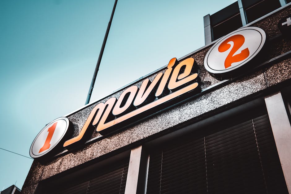 Cinematografele din Caraș-Severin celebrează Ziua Educației cu avanpremiera Team Building 2