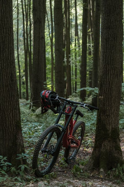 Tania Pârvu readuce Cupa României la MTB Marathon în Caransebeș