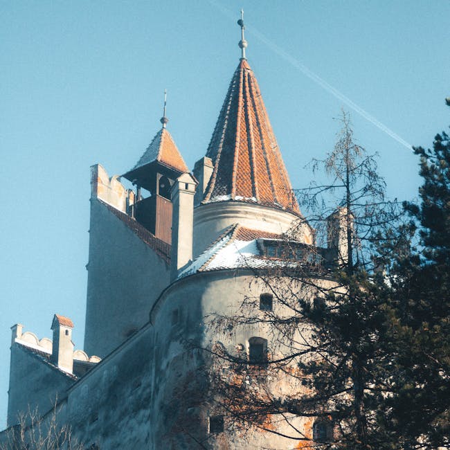 Căutările intensificate pentru mormântul lui Vlad Țepeș: o colaborare româno-italiană