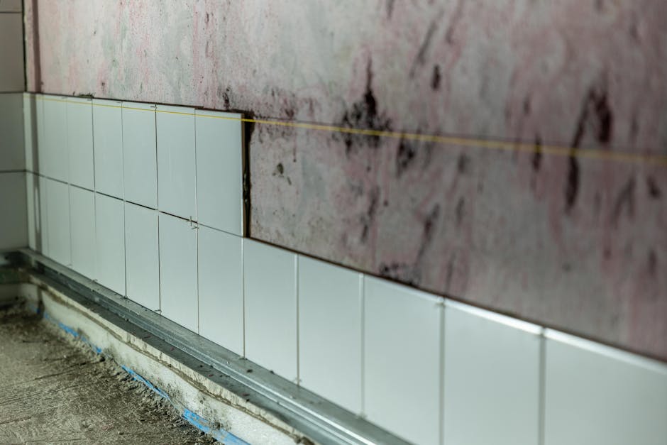 Transformă-ți spațiul cu soluții complete de renovare și finisaje
