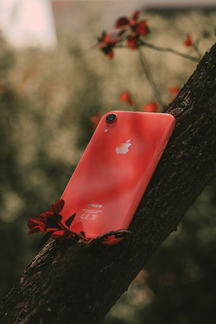 Escrocherie pe OLX: Trei indivizi vindeau produse Apple fictive