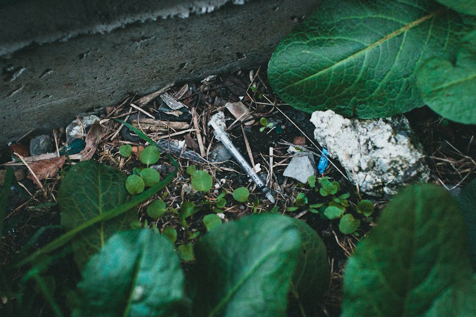 Atenție, consumatori! Peste 330 de produse cu risc ecologic raportate de Ziua Sustenabilității