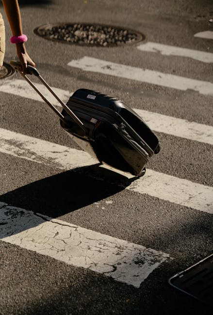 Senatul respinge propunerea pentru bagaje de mână fără taxe suplimentare
