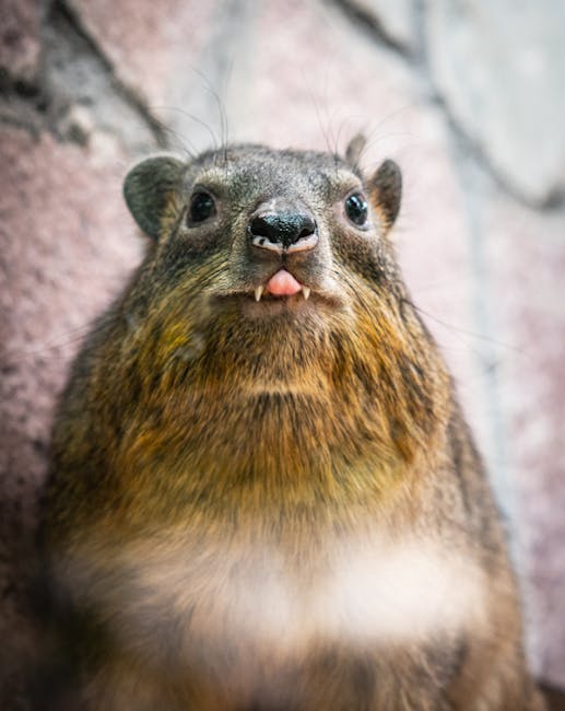 Descoperă cele mai fascinante 50 de curiozități despre animale