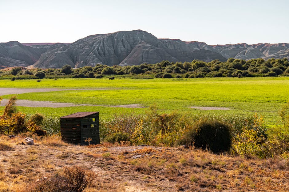 Retezatul, un paradis natural în pericol: Apelul urgent al rangerilor