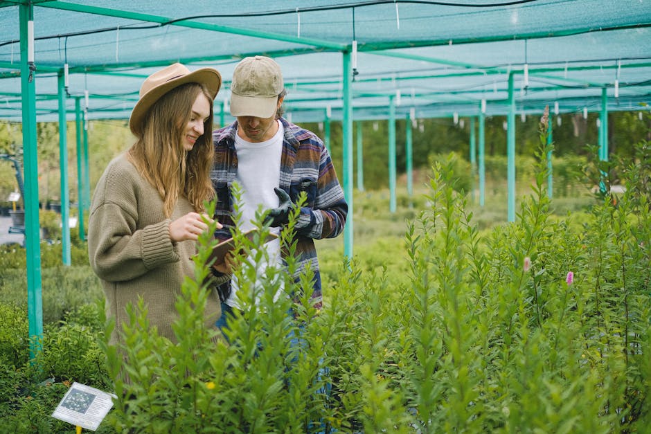 Tânăra antreprenoare din Botoșani care revoluționează agricultura ecologică