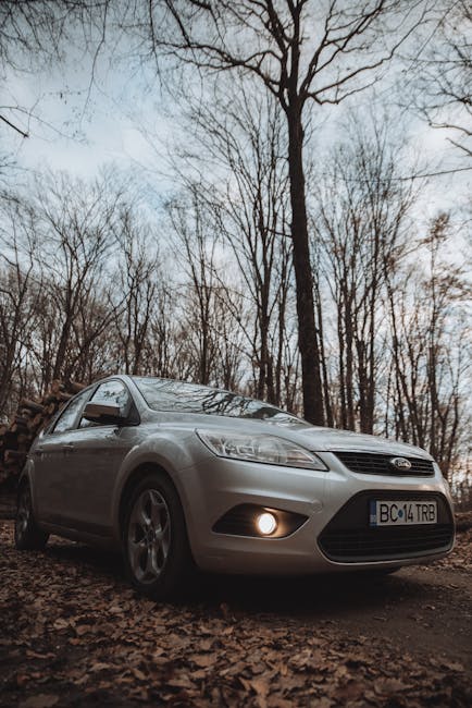 Ford explică oprirea producției din România: o vacanță de vară planificată