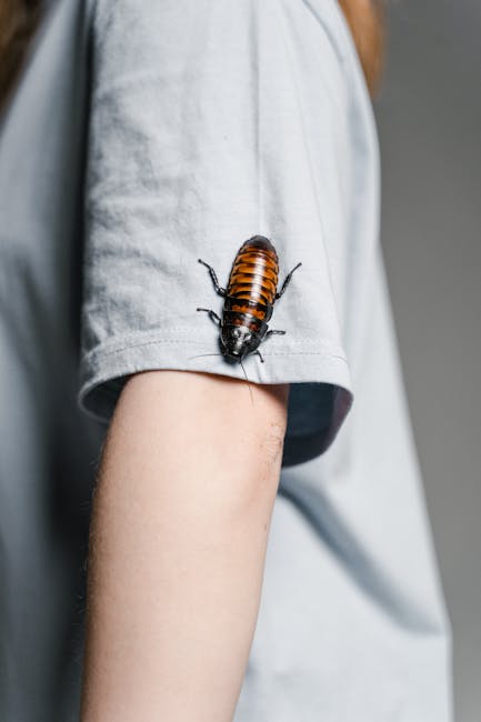 Descoperă lumea fascinantă a insectelor gigantice la Iulius Town
