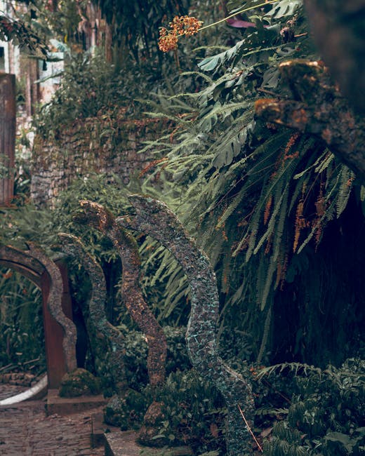 Descoperă Grădina Botanică din Jibou: un turist moldovean impresionează cu un videoclip viral