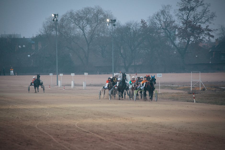 Un weekend regal la hipodrom: curse de trap și galop în Ploiești