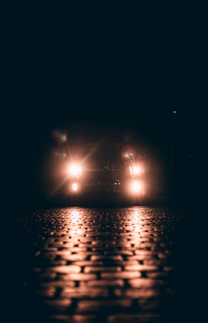 Fenomen alarmant în Cluj: aricii, victime ale neatenției șoferilor