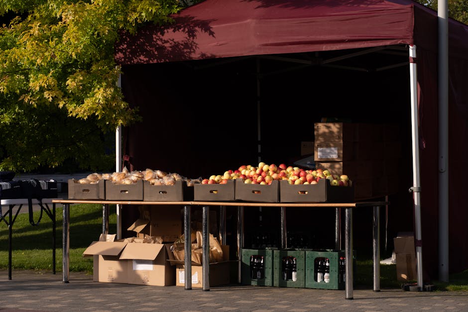 Nouă piață agroalimentară s-a deschis în comuna Borș, un paradis pentru iubitorii de produse locale