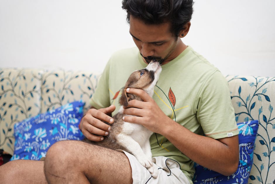 Divorț surprinzător în India: animalele de companie decid soarta unei căsnicii