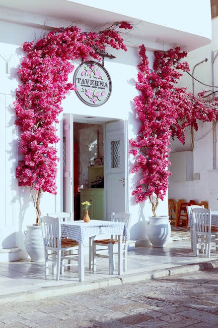 Schimbări radicale la Samos Greek Taverna: firma bulgară preia controlul