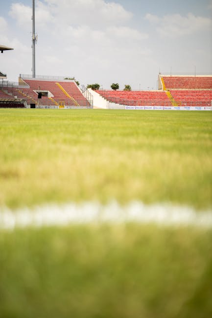 Misterul terenurilor de fotbal goale de la Gheorgheni: cum să prinzi un loc liber