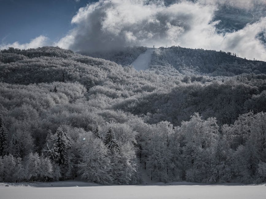 România se confruntă cu un val polar: prima ninsoare și temperaturi negative la munte