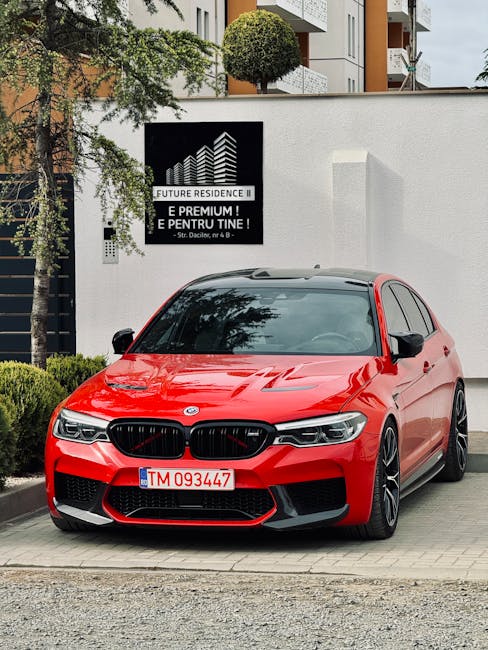Prima înfrângere a CS Minaur Baia Mare în Liga Zimbrilor