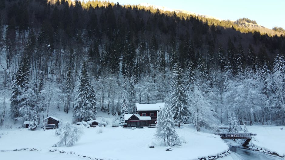 Primii fulgi de zăpadă au acoperit crestele montane din România