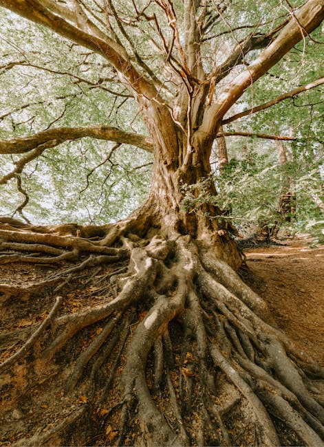 Descoperiri fascinante dezvăluie secretele originilor vieții pe Pământ