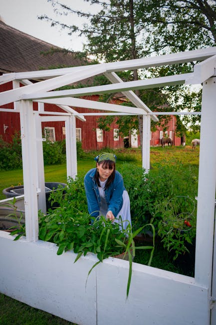 Gospodarii pot construi solarii fără autorizație, conform noii legi adoptate