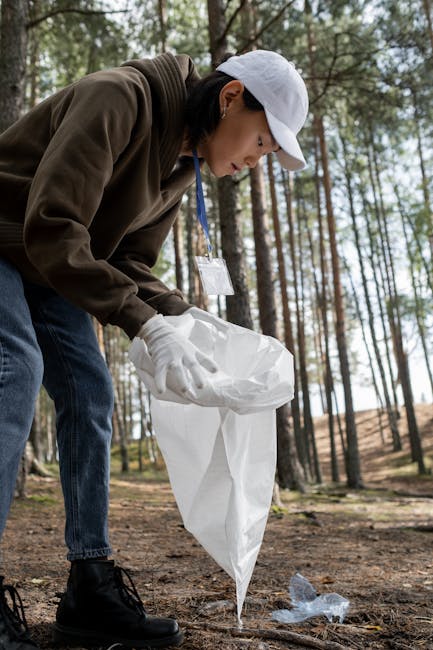 Descoperă ce se întâmplă cu deșeurile colectate de voluntarii din România!