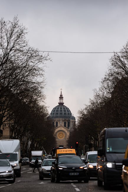 Buzău aprobă un contract climatic ambițios pentru viitorul orașului
