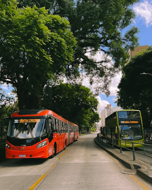 Schimbări de traseu pentru liniile de autobuz în weekend: detalii importante