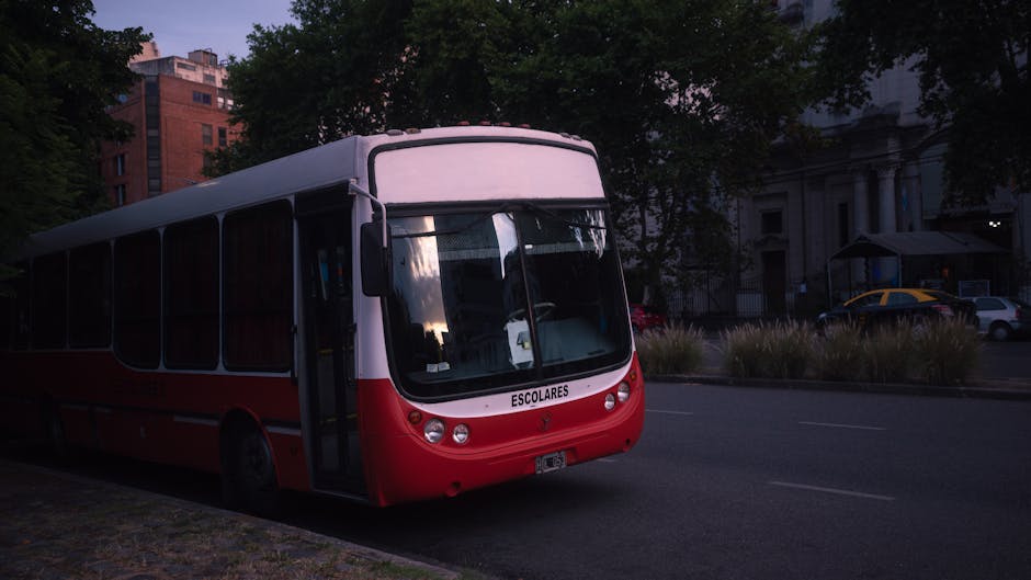 Băcia primește un microbuz electric modern pentru elevi