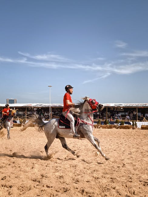 Cupa Shagya Arab din Buftea: un eveniment ecvestru de referință pe harta mondială