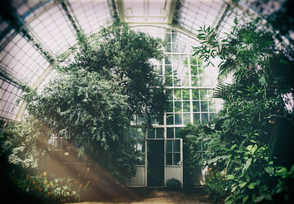 Craiova dă startul construcției unei sere tropicale în Grădina Botanică