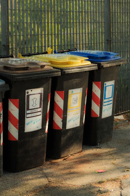 Descoperă programul de colectare a deșeurilor reciclabile din Bistrița pentru octombrie 2026