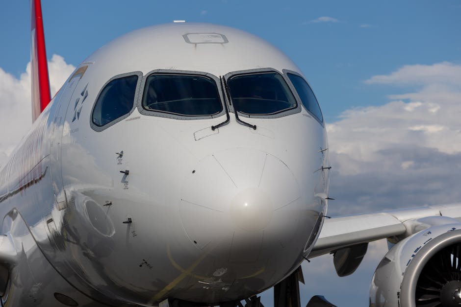 AnimaWings se află în insolvență, iar zborurile sunt afectate de probleme tehnice