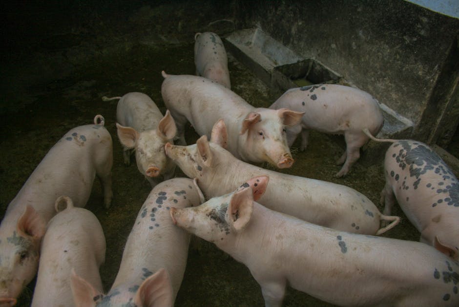 Descoperire șocantă: DSVSA Vrancea a plătit despăgubiri pentru animale inexistente