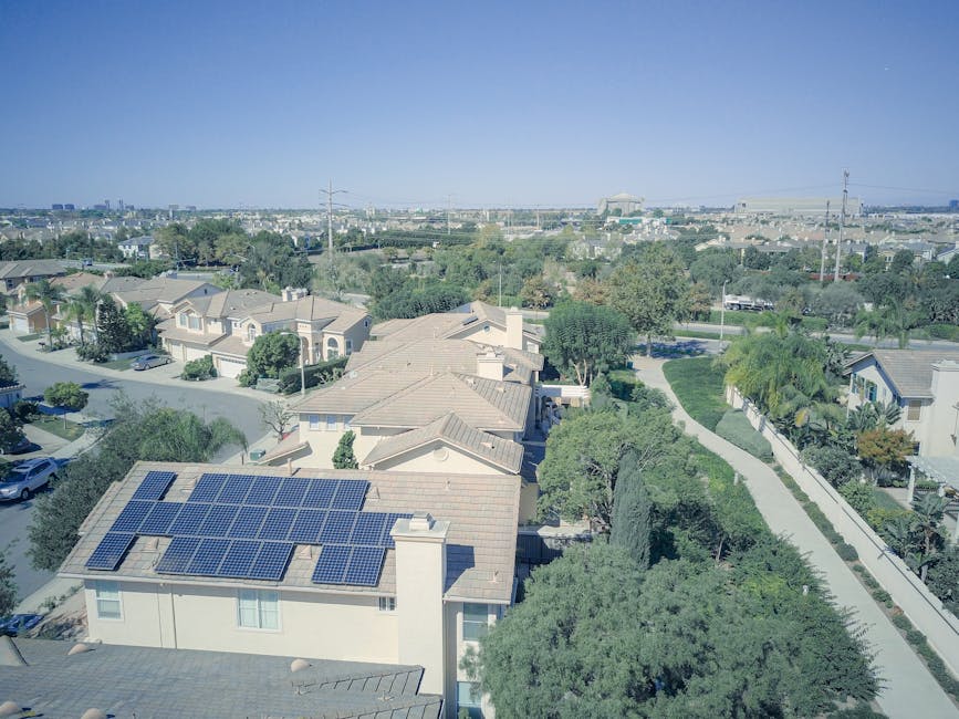 Investiții și realizări notabile în Vrancea: Melinda Lazarin și proiectul fotovoltaic