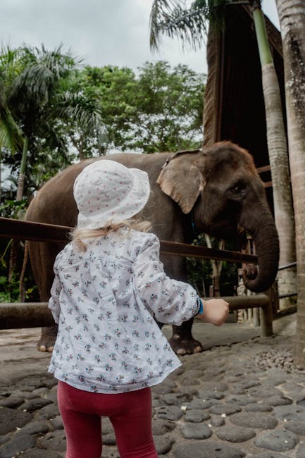 Descoperă lumea animalelor: eveniment special la Complexul Zoo Călărași