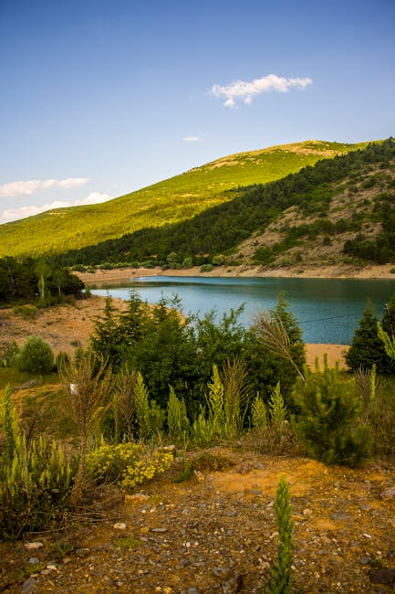 Brașovul își reînvie comorile naturale: schimbări în administrarea ariilor protejate
