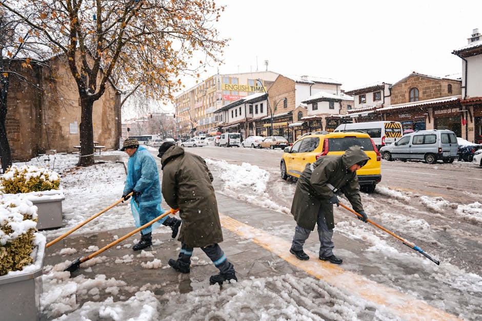 Baia Mare se pregătește pentru iarnă: deszăpezirea pe mâini bune