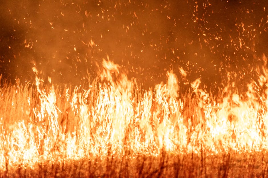 Incendiile devastatoare din Franța: Peste 325.000 de oameni evacuați în urma flăcărilor necontrolate