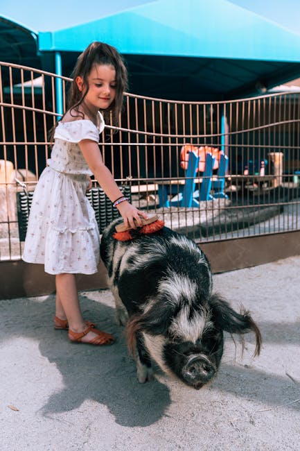 Târgu Mureș celebrează Ziua Mondială a Animalelor cu o experiență interactivă pentru copii