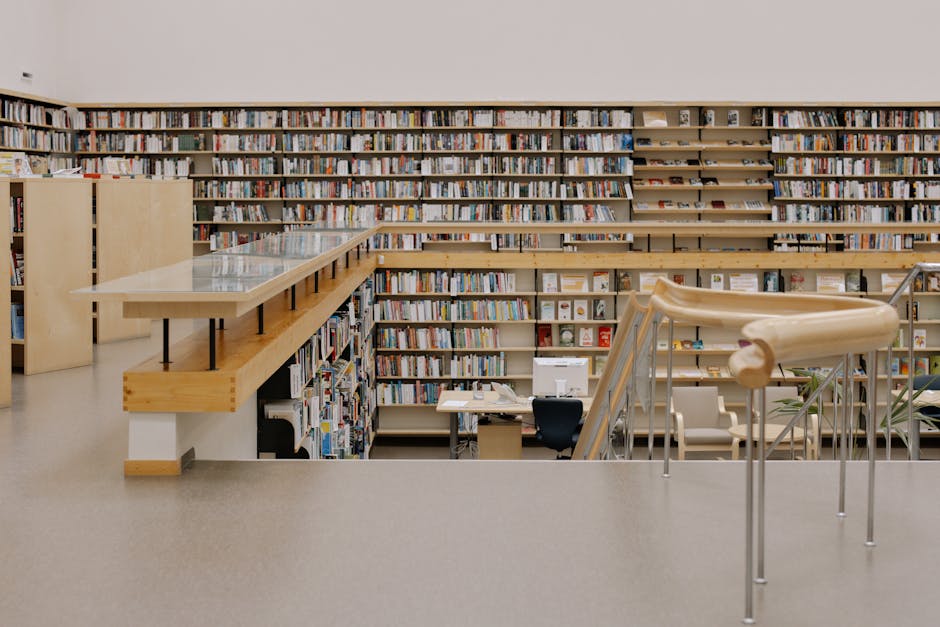 Descoperiți lumea lecturii la Biblioteca Județeană Călărași
