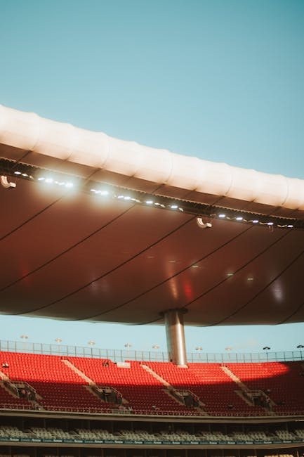 Stadionul Nicolae Dobrin: Cristian Gentea anunță progrese în construcție
