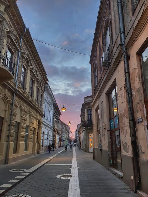 Strada Ilarie Chendi va fi redenumită în Flavius Domide
