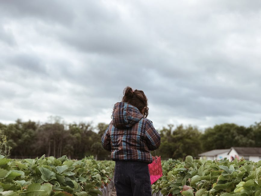 Crisis alert: U.S. government funding freeze threatens vital food aid program