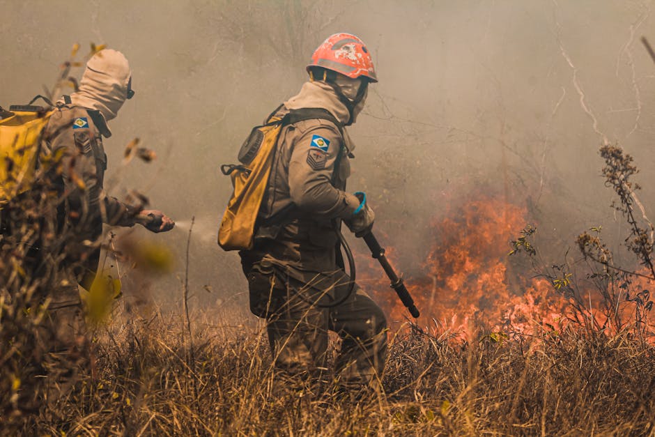 Eforturi impresionante în lupta cu incendiile din pădurile județului Caraș-Severin