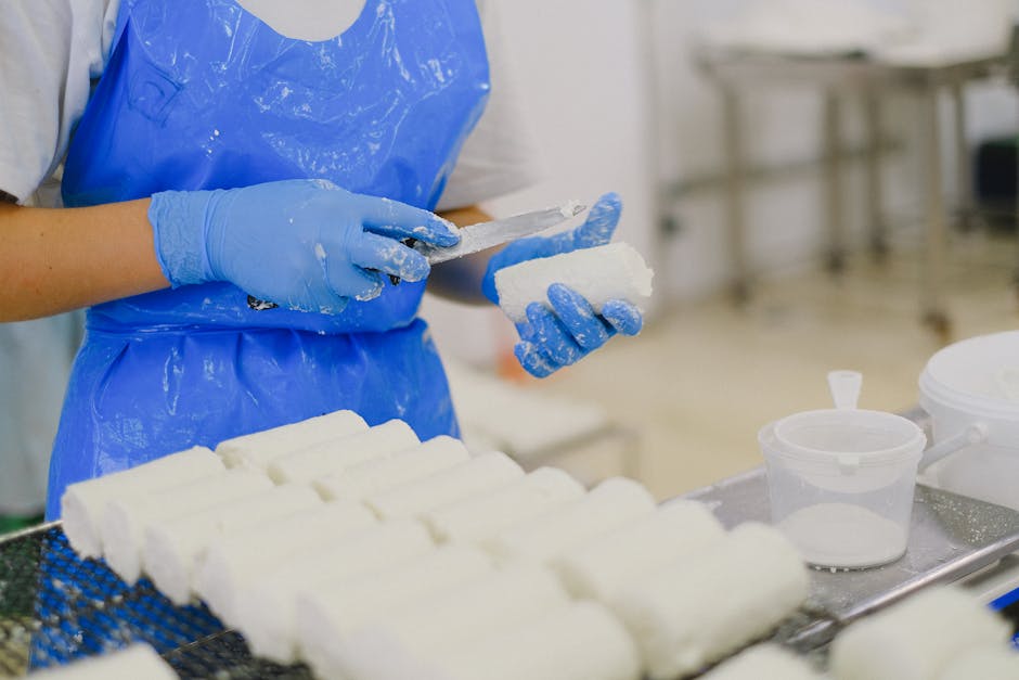 Investigație alimentară: Ce a declanșat toxiinfecția de la Palatul Brukenthal din Avrig