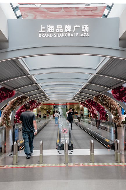 Descoperă talentul tinerilor șahiști la Shopping City Târgu Mureș